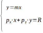 Paniere di equilibrio nel caso di soluzioni di vertice