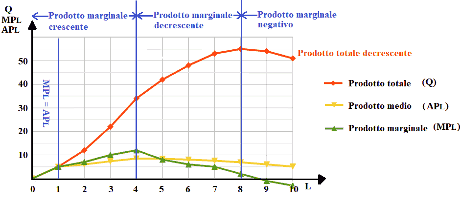 Funzione del prodotto marginale e funzione del prodotto medio