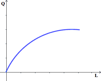 Funzione di produzione