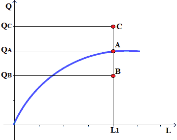 Funzione di produzione