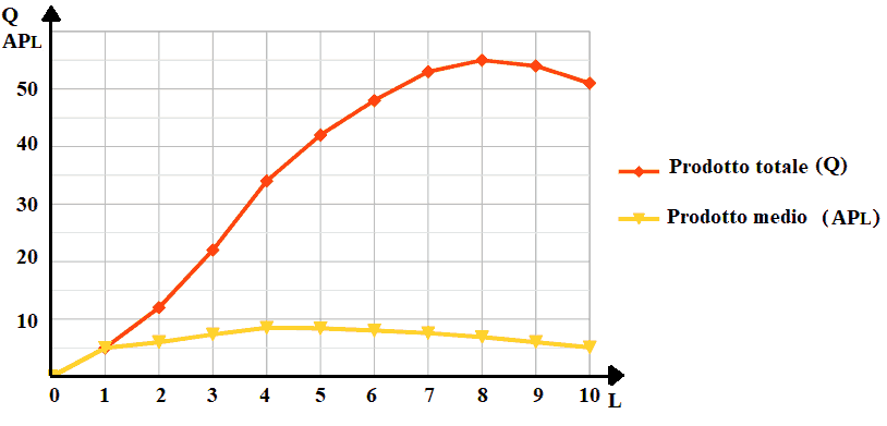 Funzione del prodotto totale e del prodotto medio