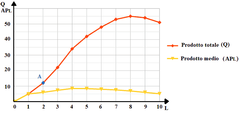 Funzione del prodotto totale e del prodotto medio