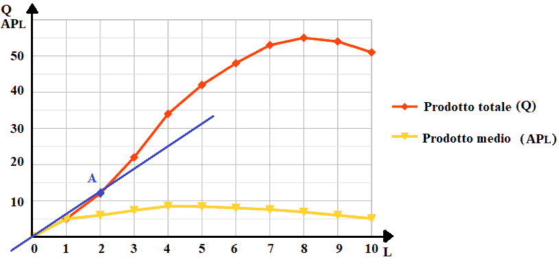 Funzione del prodotto totale e del prodotto medio